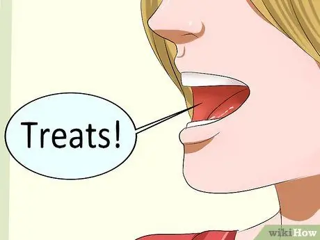 Приучите кошку приходить к вам, шаг 2