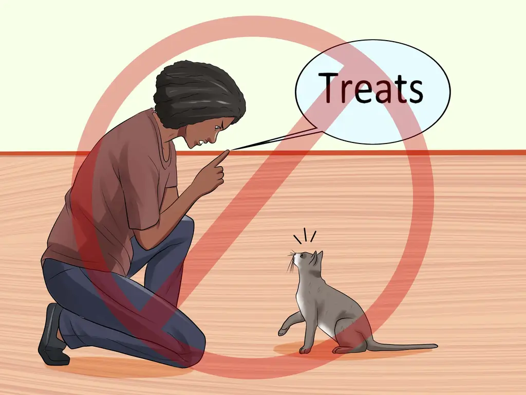 Как приучить кошку приходить к вам: 14 шагов (с иллюстрациями)