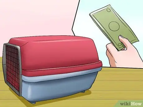 Отведите кошку к ветеринару Шаг 1