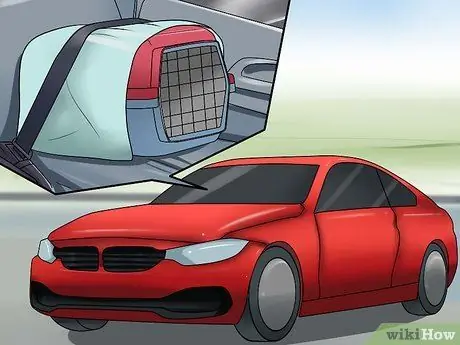 Отведите кошку к ветеринару Шаг 13