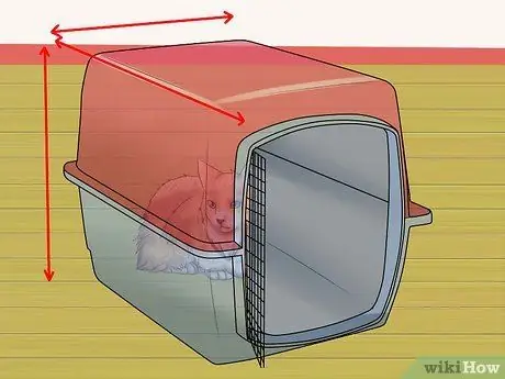 Отведите кошку к ветеринару Шаг 2