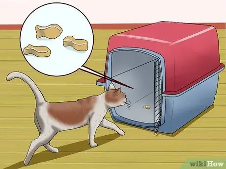 Отведите кошку к ветеринару Шаг 3