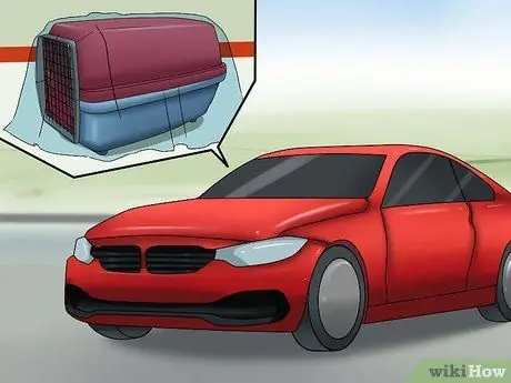 Отведите кошку к ветеринару Шаг 5