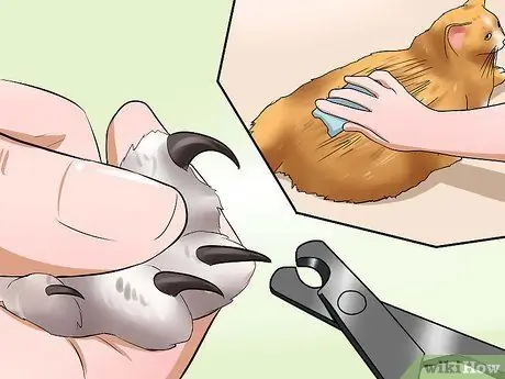 Отведите кошку к ветеринару Шаг 6