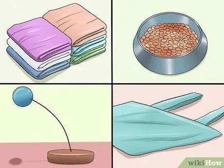 Отведите кошку к ветеринару Шаг 7