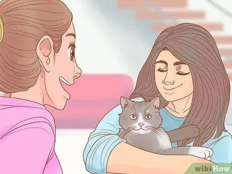 Обучение кошки-терапевта, шаг 3