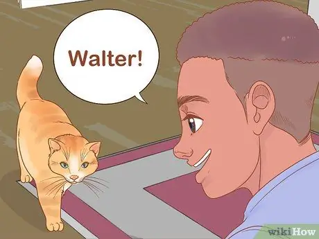 Обучение кошки-терапевта Шаг 6