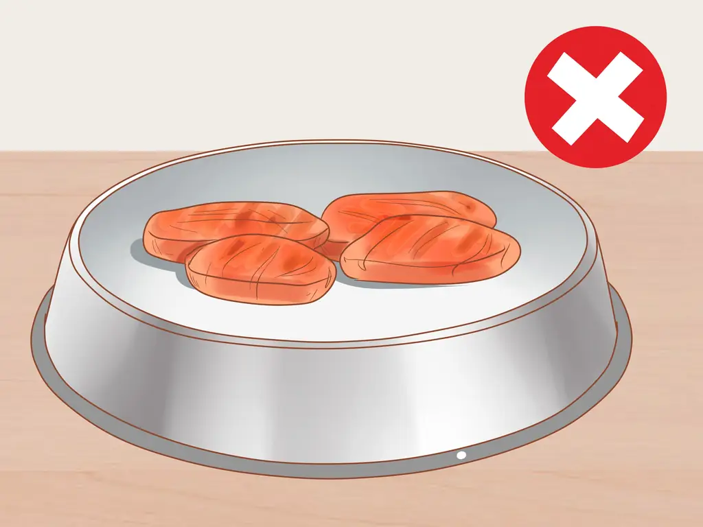 Как приручить кошку-терапевта: 15 шагов (с иллюстрациями)