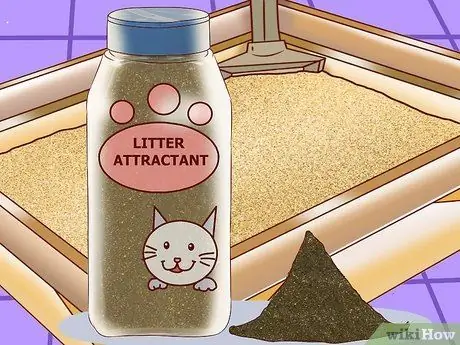 Приучите уличную кошку пользоваться туалетным лотком Шаг 13