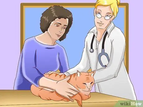 Приучите уличную кошку пользоваться туалетным лотком Шаг 16