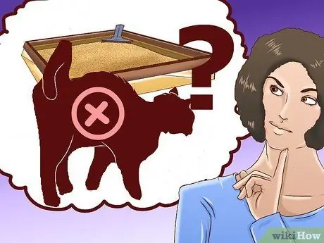 Приучите уличную кошку пользоваться туалетным лотком Шаг 17