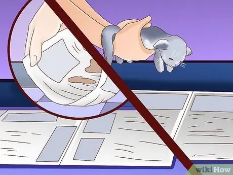 Приучите уличную кошку пользоваться туалетным лотком Шаг 6