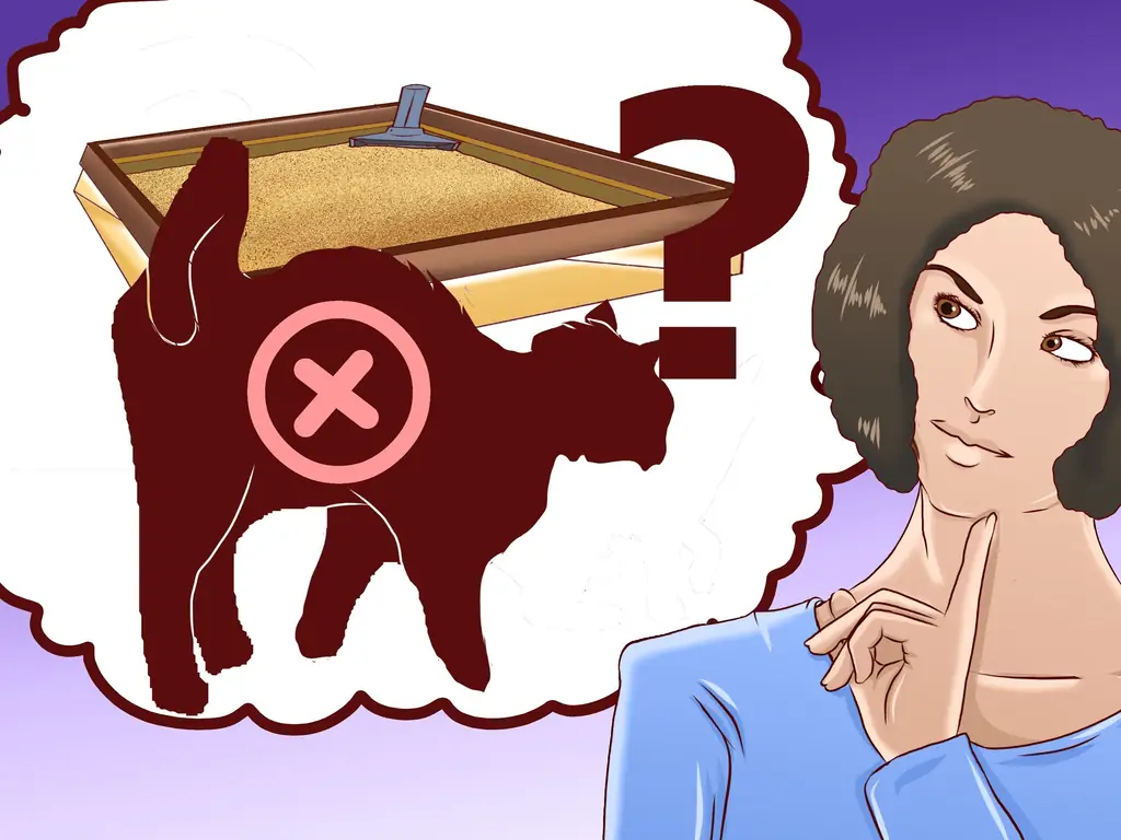 Как приучить уличную кошку пользоваться туалетным лотком (с иллюстрациями)