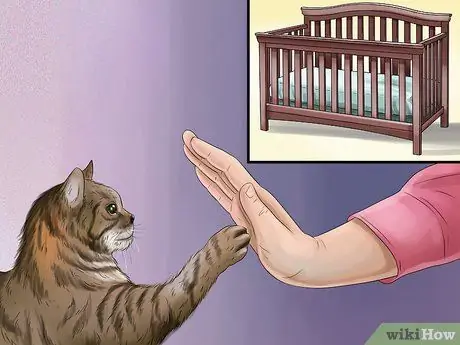 Держите кошку подальше от детской кроватки Шаг 1