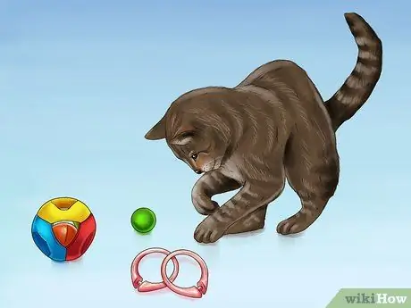 Не подпускайте кошку к кроватке Шаг 11