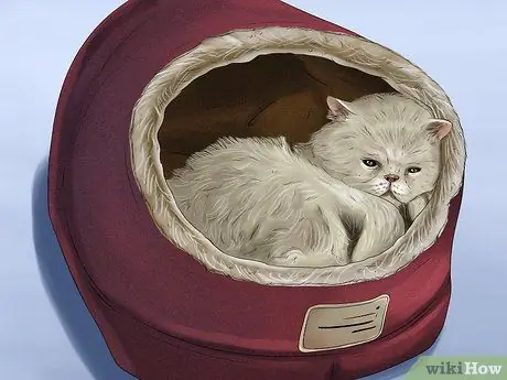 Не подпускайте кошку к кроватке Шаг 9