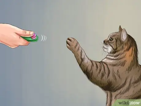 Не подпускайте кошку к кроватке Шаг 10