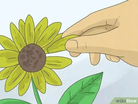 Скажите кому-нибудь, что у вас есть чувства к ним Шаг 2