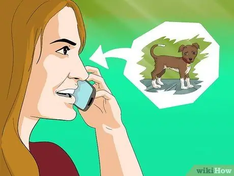 Пригласите питомца на поездку на Lyft, шаг 4