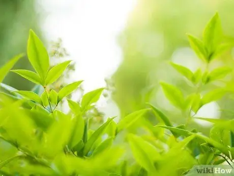 Помогите детям учиться, шаг 7