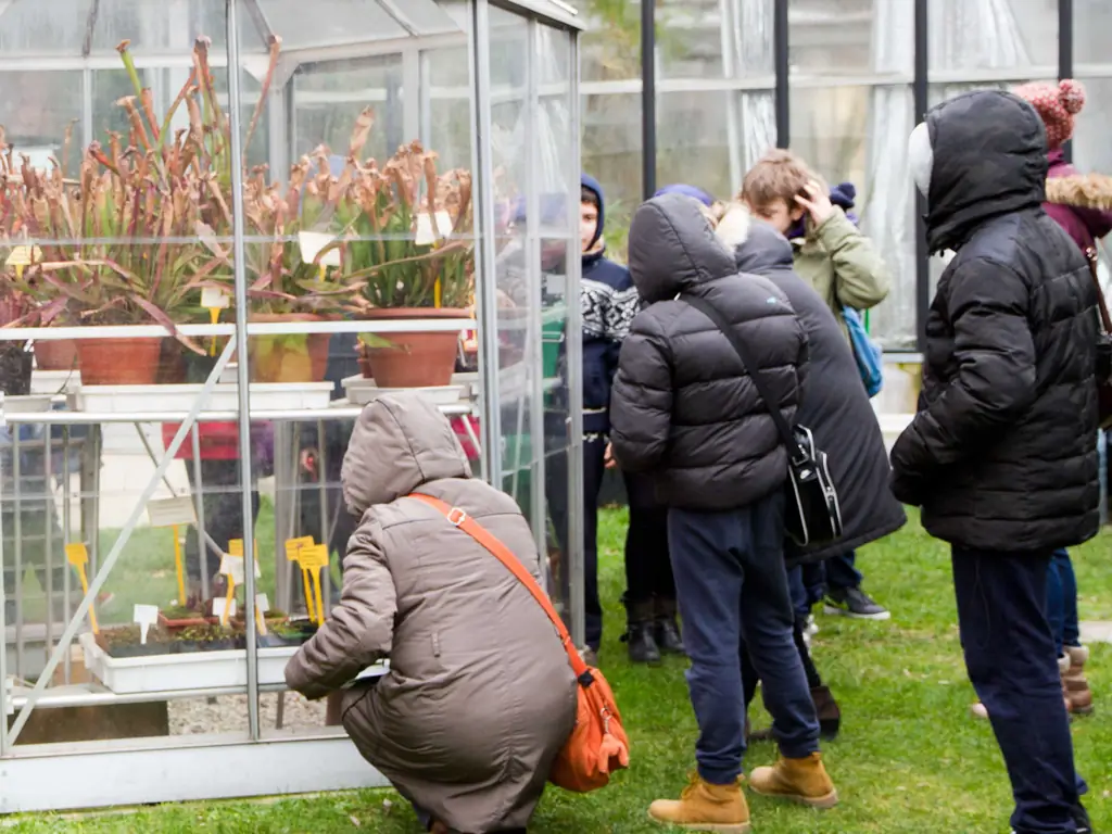 Как помочь детям учиться: 9 шагов (с иллюстрациями)