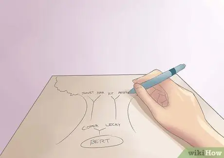 Создание схемы семейного древа Шаг 6