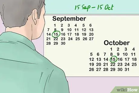 Просмотр осенней листвы в Калифорнии, шаг 1