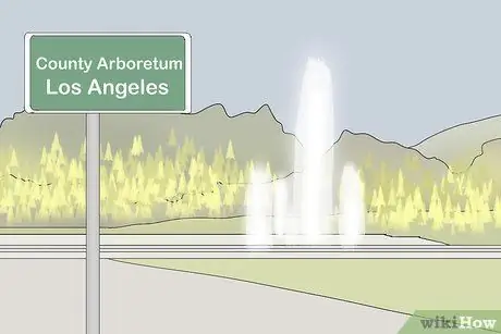 Просмотр осенней листвы в Калифорнии, шаг 12