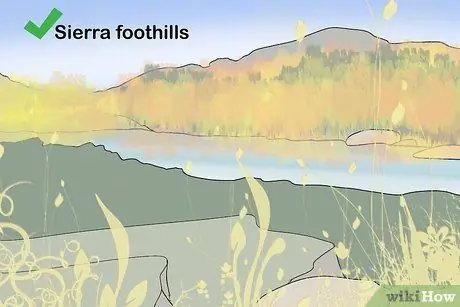 Просмотр осенней листвы в Калифорнии, шаг 6