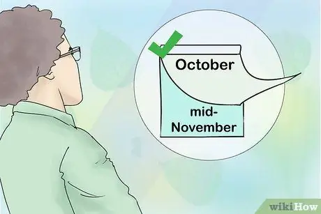 Просмотр осенней листвы в Калифорнии, шаг 8