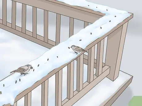 Веселитесь в снежный день Шаг 10