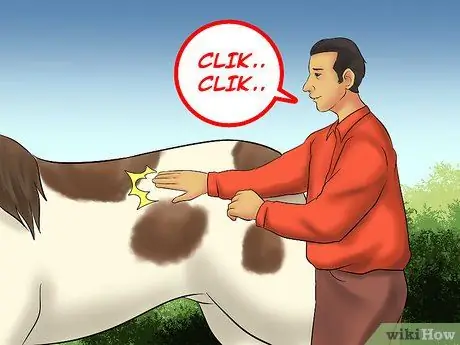 Погрузить лошадь в трейлер Шаг 13