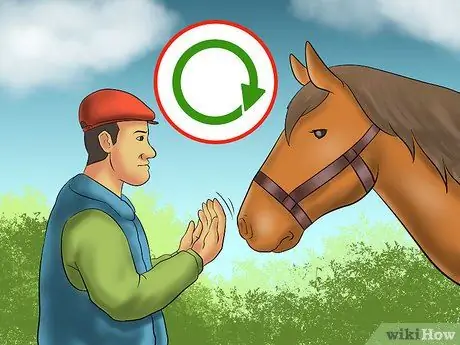 Погрузить лошадь в трейлер Шаг 14