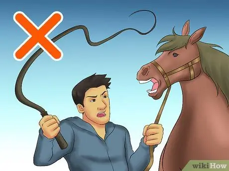 Загрузка лошади в трейлер Шаг 16