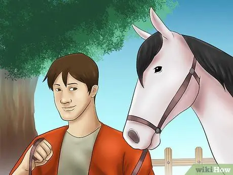 Погрузите лошадь в прицеп, шаг 2