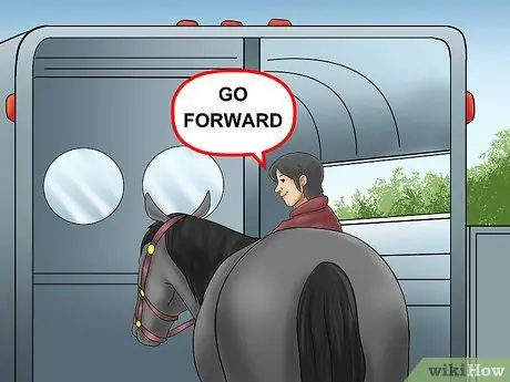 Погрузите лошадь в трейлер Шаг 4