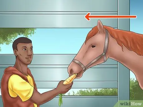 Погрузите лошадь в трейлер Шаг 5