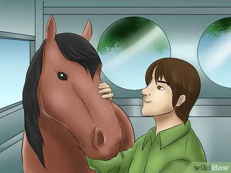 Загрузка лошади в трейлер Шаг 7