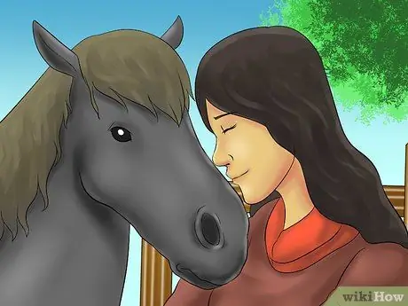 Загрузка лошади в трейлер Шаг 9