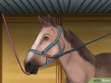 Связать лошадь Шаг 11