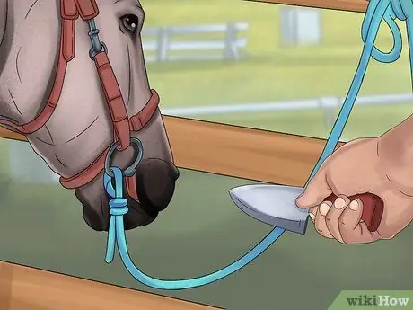 Связать лошадь Шаг 12