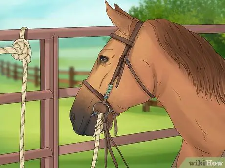 Связать лошадь Шаг 6