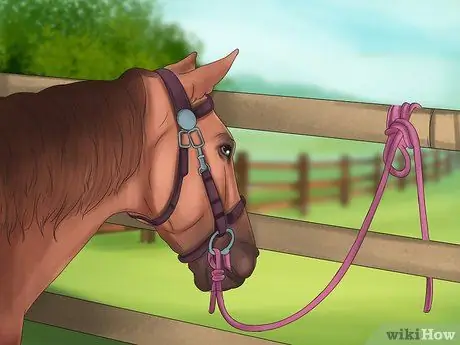 Связать лошадь Шаг 7