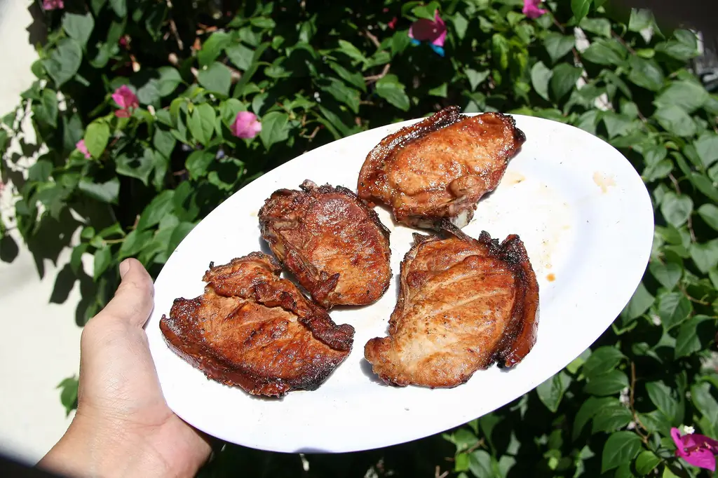 Как приготовить мясо на гриле: 7 шагов (с иллюстрациями)