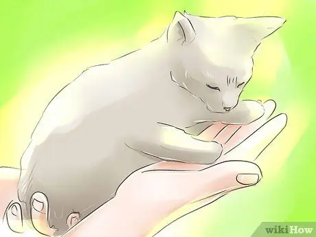 Найдите людей бесплатно Шаг 9