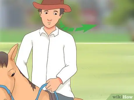Turn a Horse Шаг 2
