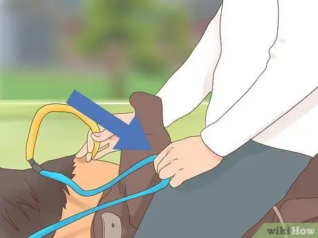 Turn a Horse Шаг 4