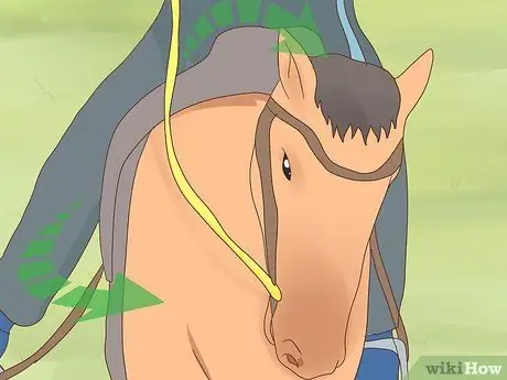 Turn a Horse Шаг 7