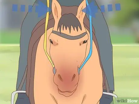 Turn a Horse Шаг 8