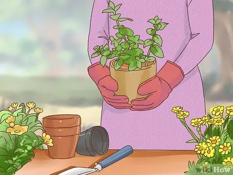 Будьте богемным, шаг 5